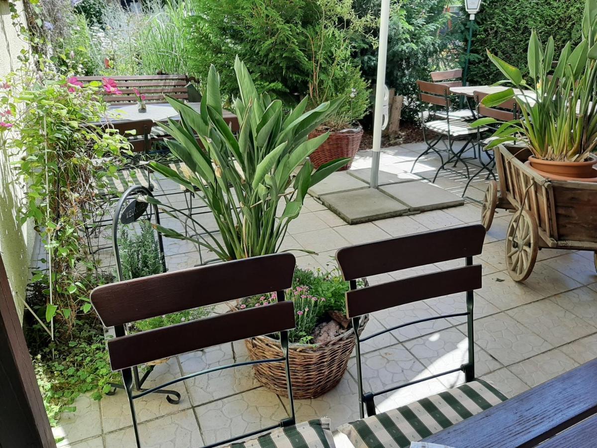 Gasthof & Pension Zum Saalestrand Bad Dürrenberg Extérieur photo